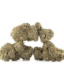 Birthday Cake kush