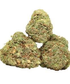 Blue King AAAA+ Indica