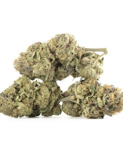 Chemdawg Strain