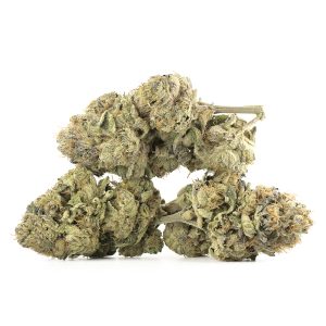 Chemdawg Strain