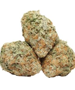 Dos Diablo kush