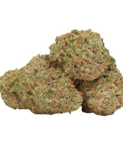 Girl Scout Cookies kush