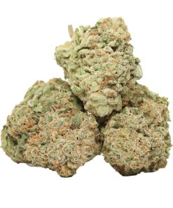 Ultimate Trainwreck Weed Strain