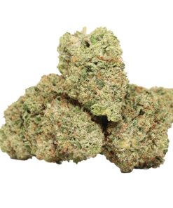 Buy Lindsay OG