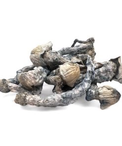Magic mushrooms