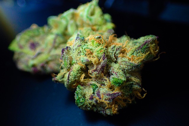 californian weed buddy hero image